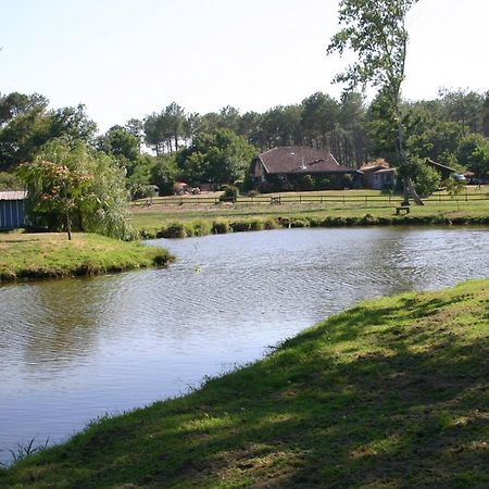 Gite 4Kms Plage Grand Domaine Prive Lacs Natura 2000 Lit-et-Mixe Exterior foto